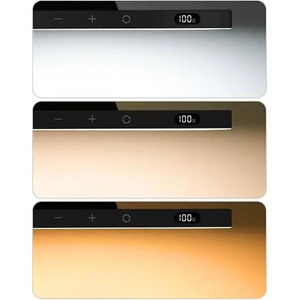 Rechargeable LED Light