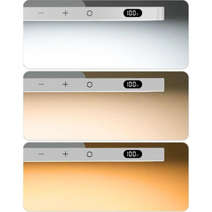 Rechargeable LED Light